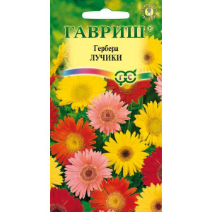 Гербера Лучики Гавриш Ц