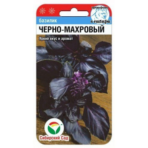 Базилик Черно-Махровый СС Ц