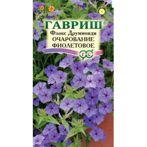 Флокс Очарование фиолетовое Гавриш Цветной пакет