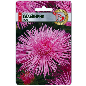 Астра Валькирия Аврора Игольчатая Биотехника