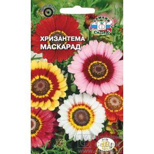 Хризантема Маскарад корейская Седек Цветной пакет