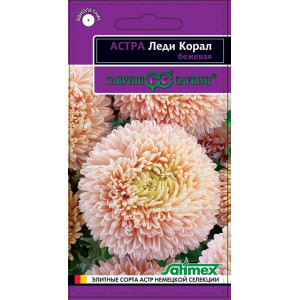 Астра Леди Коралл Бежевая Гавриш Ц/п