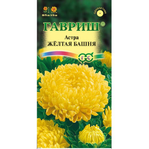 Астра Желтая Башня Гавриш Ц/п