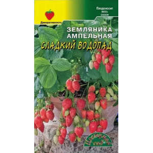 Земляника Сладкий Водопад ампельная балконная Цвет Сад Ц