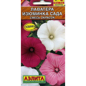 Лаватера Изюминка сада, смесь Аэлита Ц