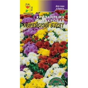 Хризантема Махровая Корейский Букет Цвет. Сад Ц