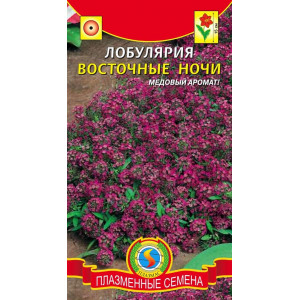 Лобулярия Восточные  ночи Плазма