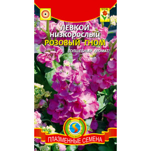 Левкой Розовый гном (плазменные семена)