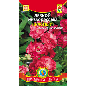 Левкой низкорослый Красный