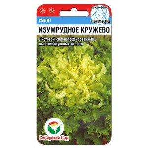 Салат Изумрудное кружево СС Ц