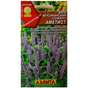 Мята Мексиканская Аметист Аэлита Ц
