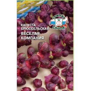 Капуста брюссельская Веселая компания красная Седек Ц