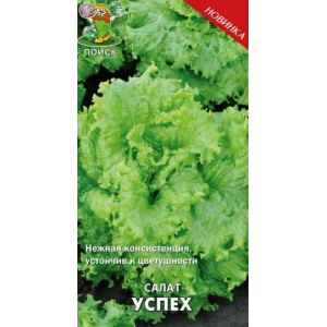 Салат Успех Ц Поиск