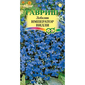 Лобелия Император Вилли Гавриш Ц