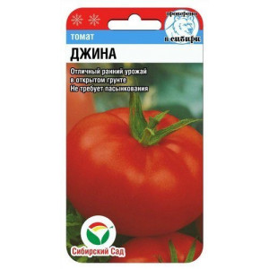 Томат Джина СС Ц