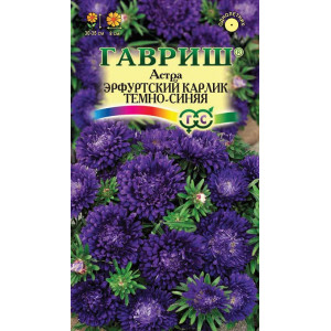 Астра Эрфуртский карлик Темно синяя Гавриш Ц