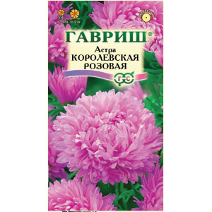 Астра Королевская розовая Гавриш Ц