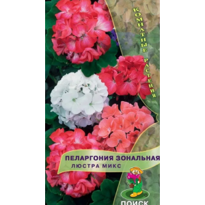 Пеларгония Люстра Микс зональная Поиск Ц
