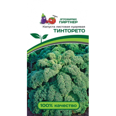 Капуста листовая Кудрявая Тингорето Партнер Ц