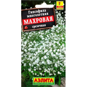 Гипсофила Махровая многолетняя Аэлита Ц
