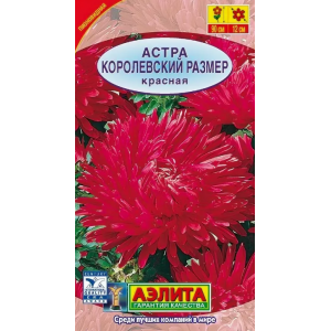 Астра Королевский размер красная Аэлита Ц